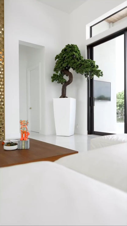 Vase avec Bonsai Premium