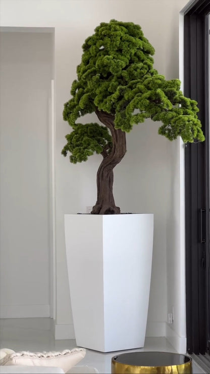 Vase avec Bonsai Premium